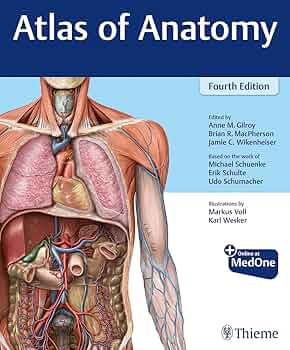 Atlas of Anatomy: 9781684202034: Medicine & Health Science Books