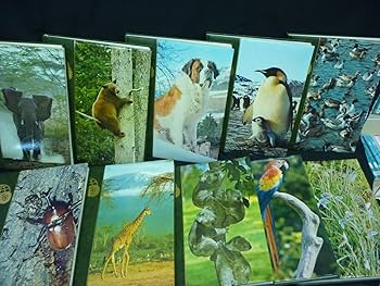 Amazon.co.jp: 動物の大世界百科 アニマル ライフ全20巻+追補索引:21冊