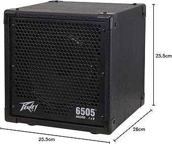 Amazon.co.jp: PEAVEY 6505 Piranha 1×8 Cabinet ギターアンプ