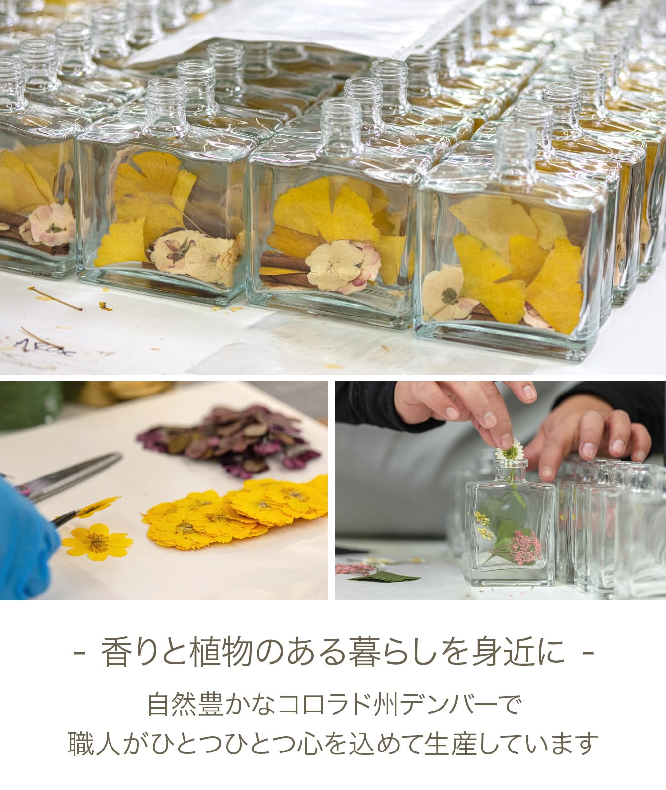 Amazon | ROSY RINGS(ロージーリングス) ボタニカルリード