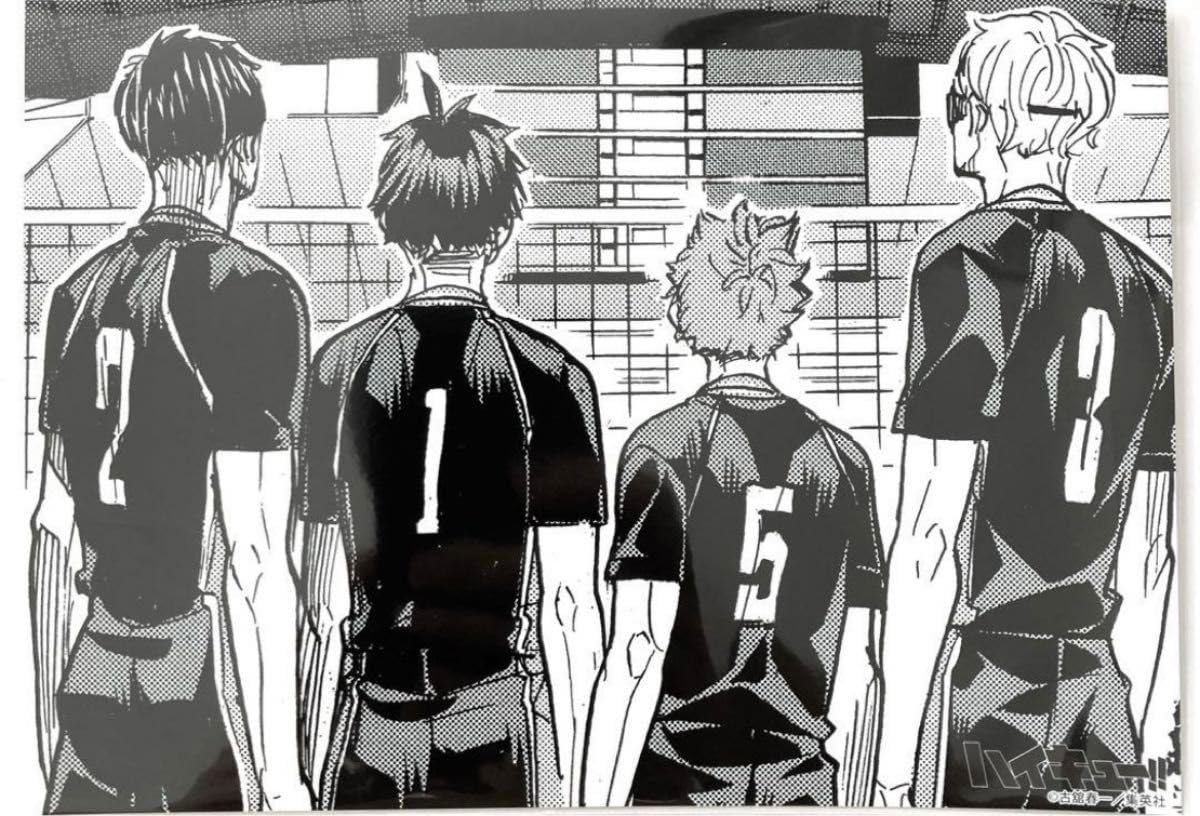 Amazon.co.jp: ハイキュー☆影山飛雄☆日向翔陽☆月島蛍☆山口忠☆烏野