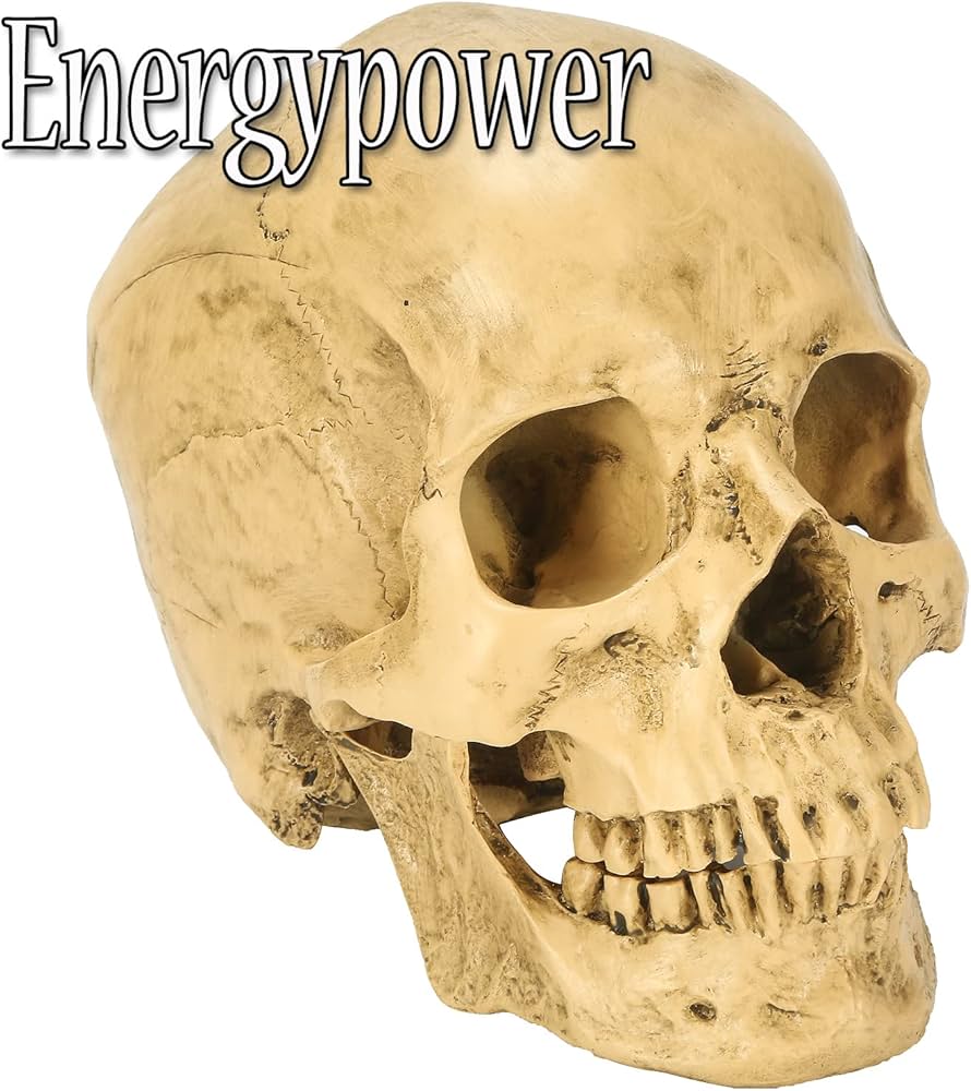 71mtibRPulL._AC_UF894,