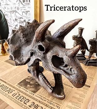 Amazon.co.jp: トリケラトプス インテリア オブジェ 恐竜の化石