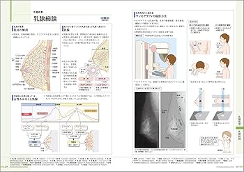 病気がみえる vol.9 婦人科・乳腺外科 第4版 | 医療情報科学研究所 |本