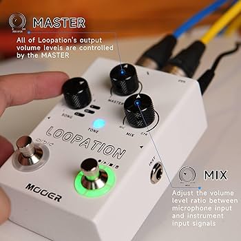 Amazon.com: MOOER Looper Vocal Effects Processor Guitar Voice