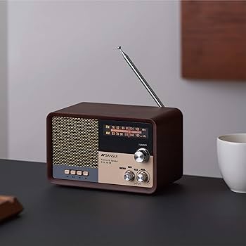 Amazon.co.jp: Sansui Wood MSR-1 WD Bluetooth Speaker with AM/FM