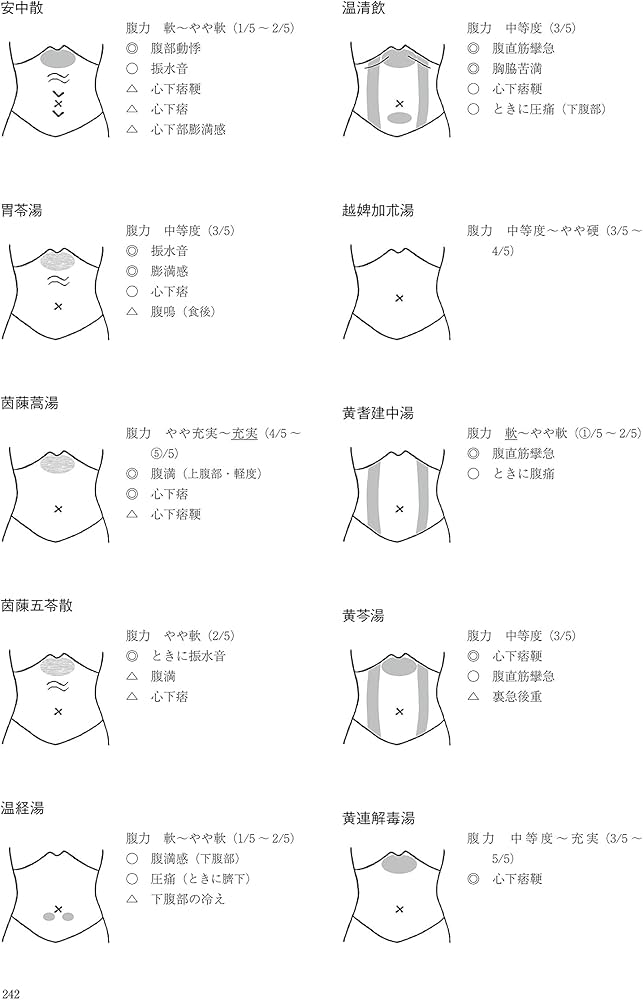腹診のエビデンス 保険収載漢方処方 第2版 | 新井 信, 並木 隆雄 |本