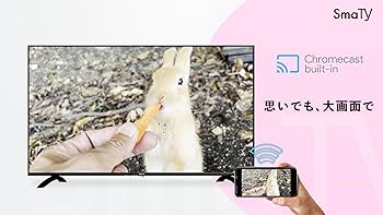 Amazon | TikTok TVアプリ対応 SmaTY チューナーレス スマートテレビ