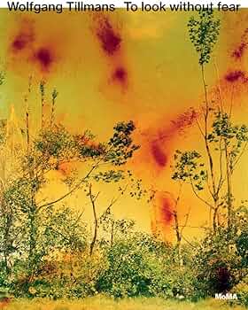 Amazon.com: Wolfgang Tillmans: To look without fear: 9781633451117