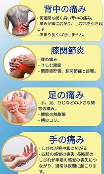 Amazon.co.jp: ZEXTRA SURE JAPAN Joint Pain Relief Milk Back Pain
