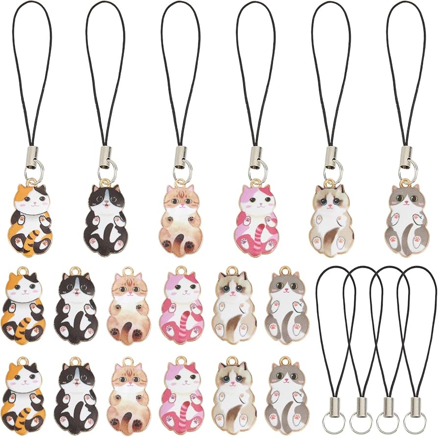 Amazon.com: SUNNYCLUE 1 Box 24 Set 6 Styles Phone Charms Strap