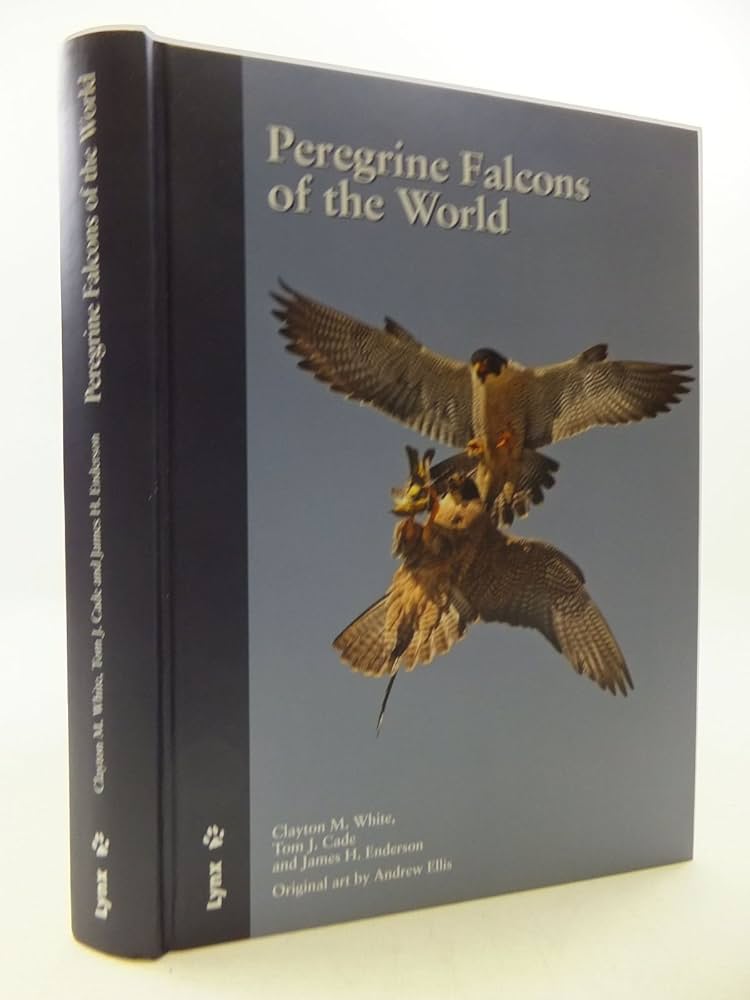 Peregrine Falcons of the World by White, Clayton M., Cade, Tom J