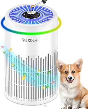 Amazon.com: ZXBEER H13 True HEPA Air Purifier with Remote Control
