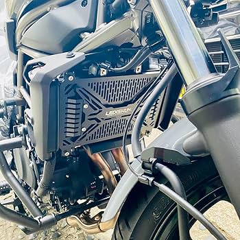 Amazon | LEDISHUN ラジエターコアプロテクター エリミネーター/SE(24