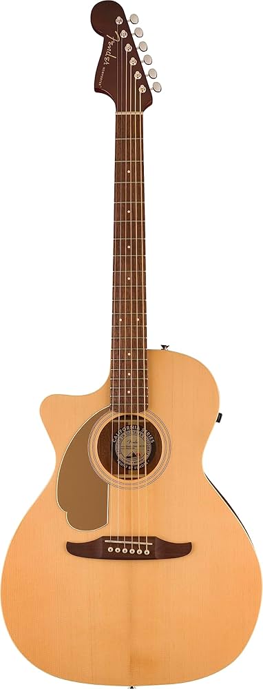 Amazon | Fender フェンダー エレアコギター Newporter Player Left