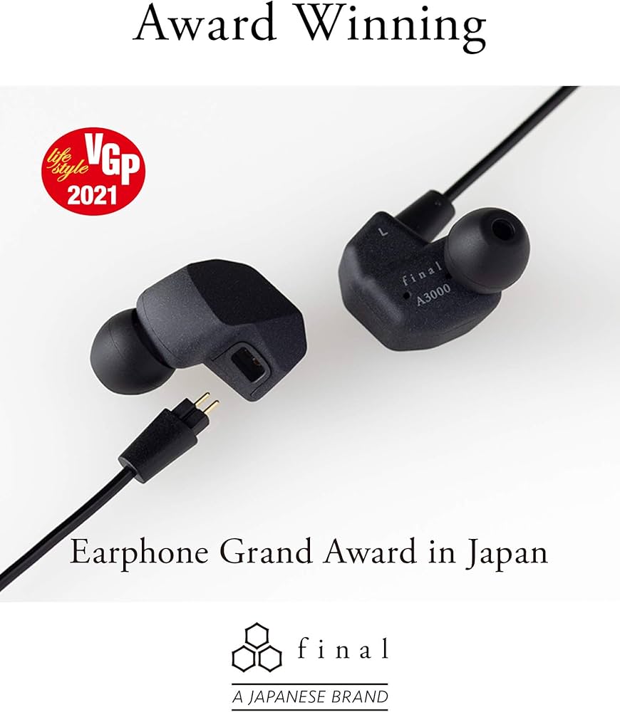 Amazon.com: Final A3000 in-Ear Wired Noise Isolating High
