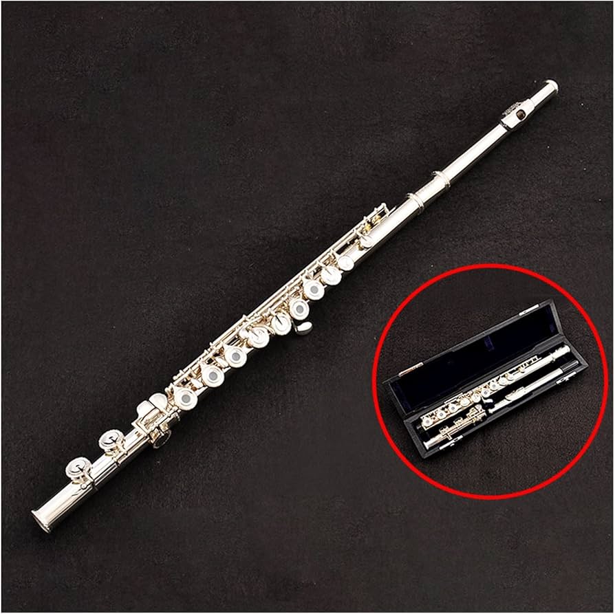 Amazon.co.jp: フルート楽器 16個の開閉穴兼用フルート フランス銀