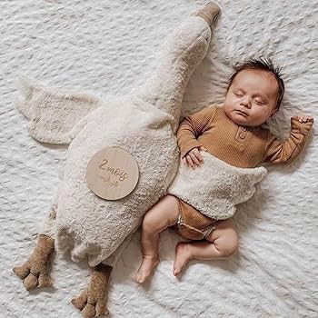 Amazon.co.jp: Senger Naturwelt ガチョウ ゼンガーナチュウェルト