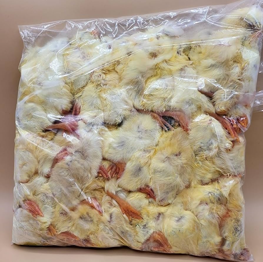 Amazon | 【クール便発送】国産冷凍ひよこ(雛) 30羽入り 猛禽類