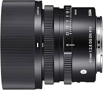 Amazon.com : Sigma 45 mm F2.8 DG DN for Sony E : Electronics