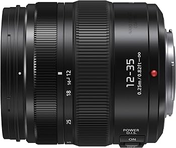 Amazon.com : Panasonic LUMIX Professional 12-35mm Camera Lens G X