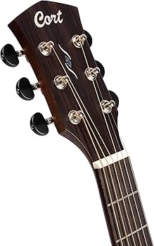 Amazon | Cort CORE OC Spruce オール単板 アコースティックギター