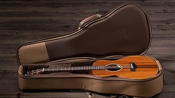 Amazon.com: Taylor GS Mini-e Solid Koa Top ESB w/Gig Bag with case