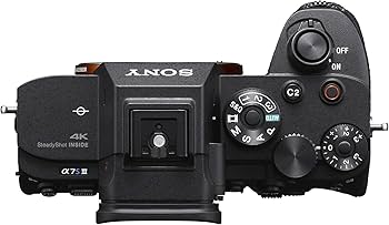 Amazon.com : Sony ILCE7SM3/B Alpha 7S III FullFrame ILC Camera