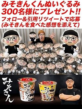 Amazon.co.jp: 店主ヒカキンくんオリジナルぬいぐるみ 300個限定 みそ