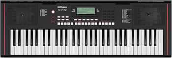 Amazon.co.jp: Roland ローランド 電子キーボード E-X10 アレンジャー