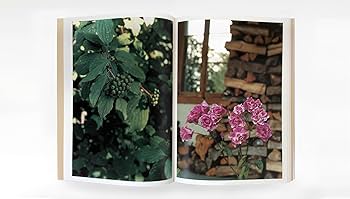 71qVnpuksuL._AC_UF350,