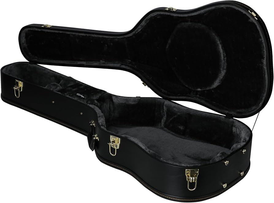 Amazon.com: Epiphone Case Epiphone Dreadnought Acoustic : Musical