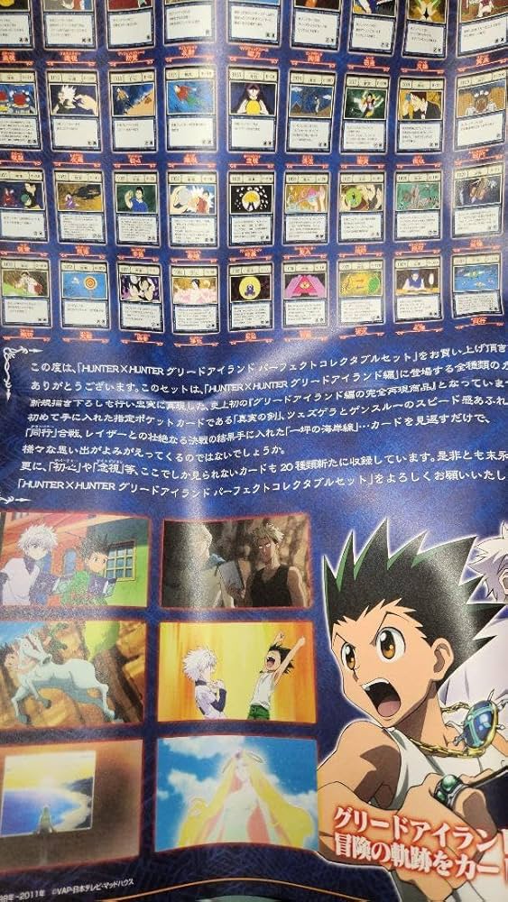 Amazon.co.jp: HUNTER × HUNTER グリードアイランド カードセット