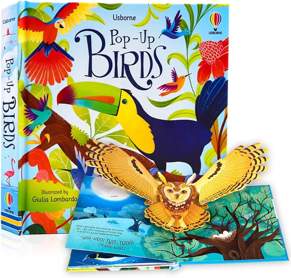 Usborne Pop-Up Fairy Tales 3D Picture Book Cardboard Coloring