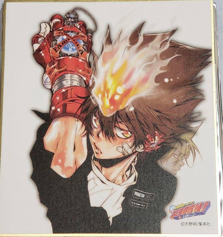 Amazon.co.jp: 家庭教師ヒットマンREBORN 色紙 沢田綱吉 天野明展