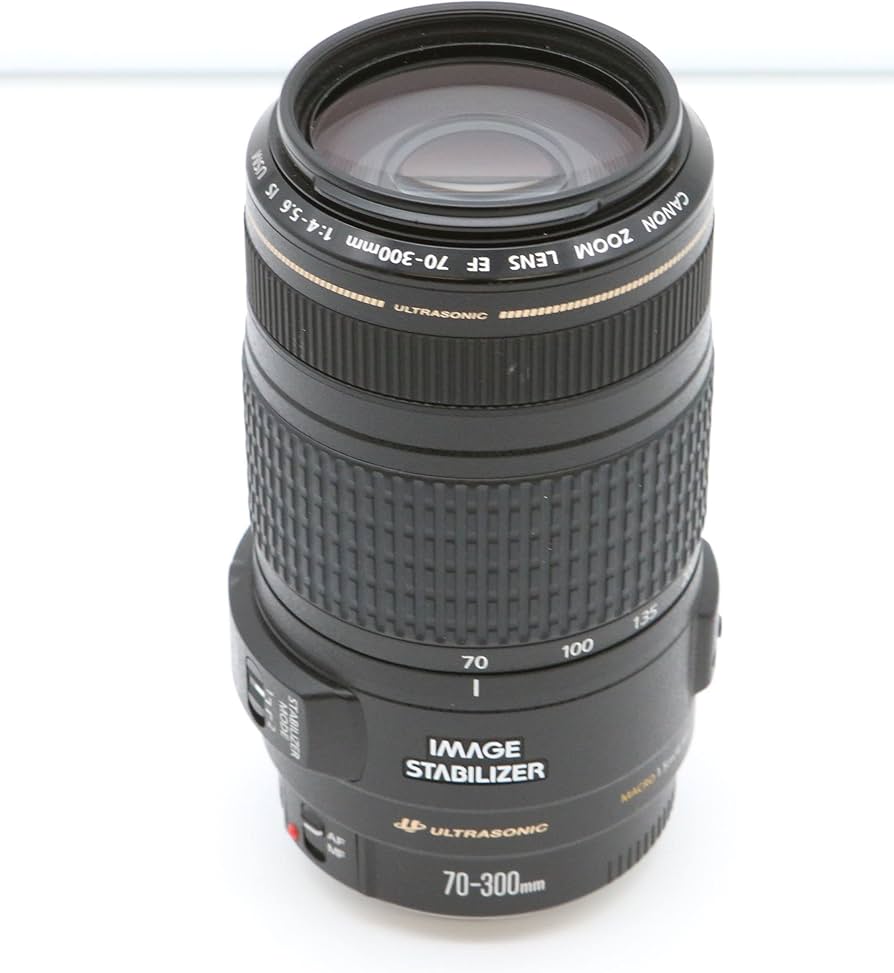 Amazon.com : Canon EF 70-300mm f/4-5.6 is USM Lens : Camera Lenses