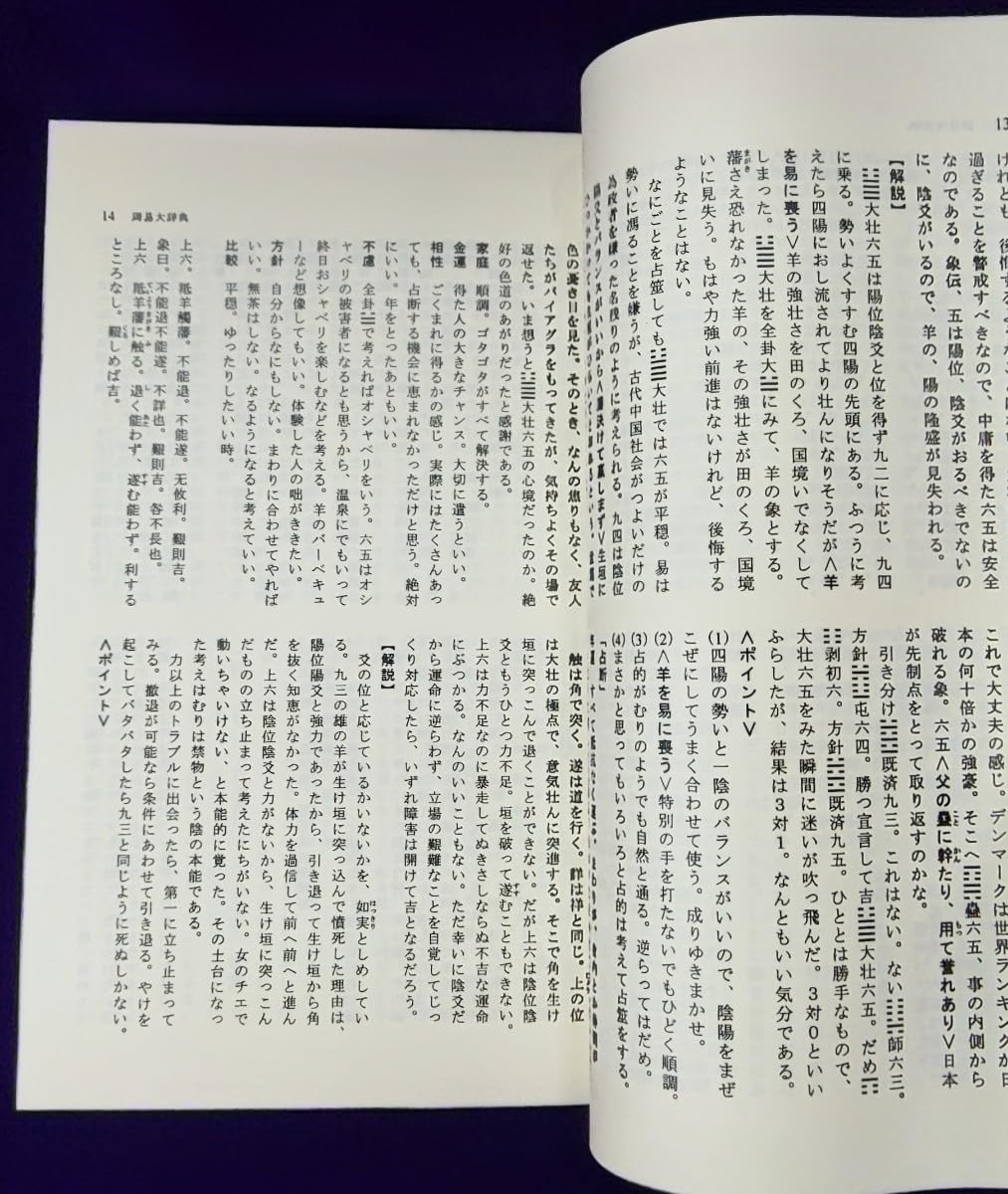 Amazon.co.jp: 履苑 易占術専門機関紙 創刊号含む 37 冊 横井伯典 日本