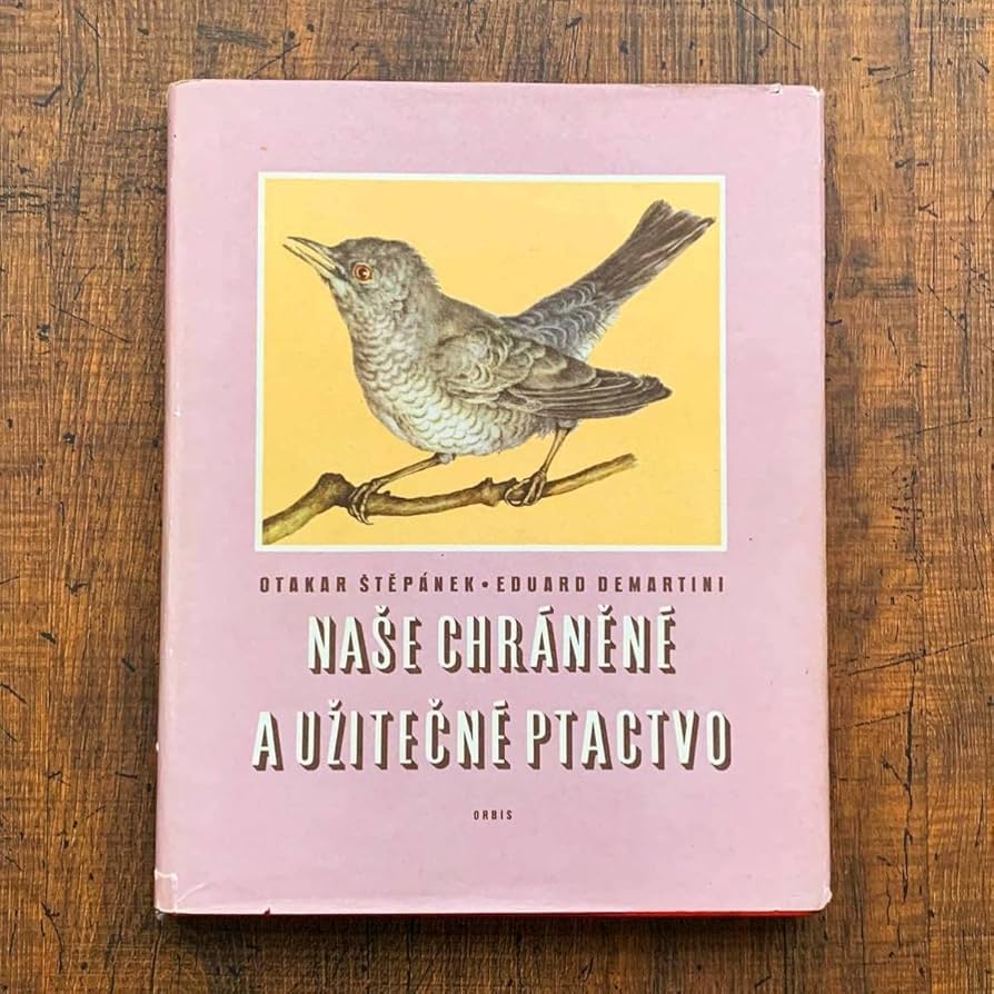 素朴で美しい鳥の絵]チェコの古い鳥類図鑑(1941年)/ヴィンテージ