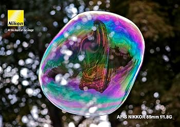 Amazon.co.jp: Nikon 単焦点レンズ AF-S NIKKOR 85mm f/1.8G フル