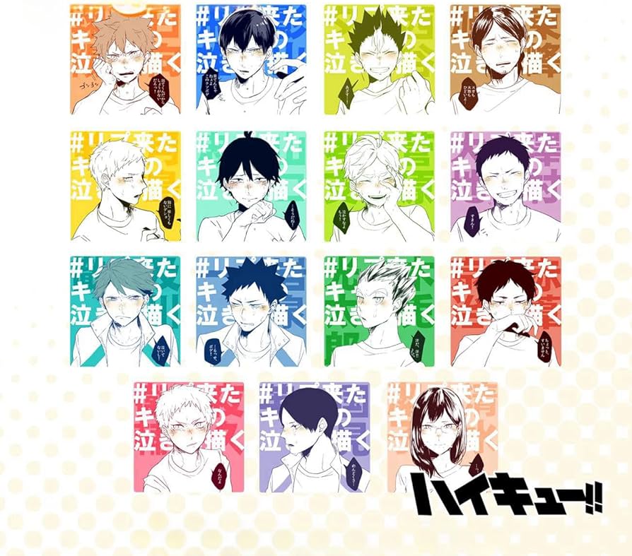 Amazon.co.jp: ハイキュー コースター 日向翔陽 影山飛雄 及川徹 西谷