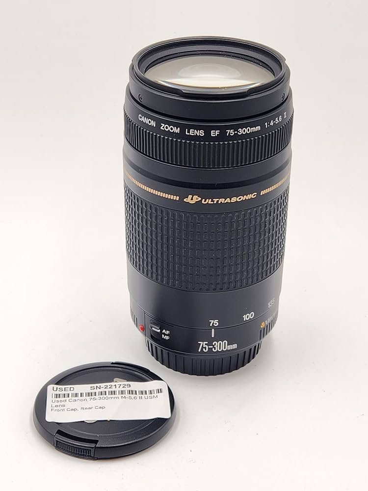 Used Canon 75-300mm f4-5.6 II USM Lens : Amazon.ca: Electronics