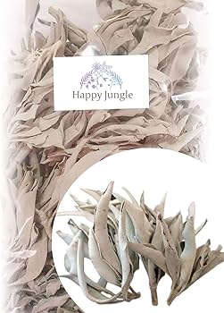 Amazon | ホワイトセージ 浄化用 お香 無農薬 枝付き クラスタータイプ