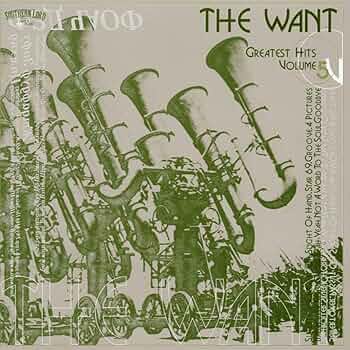 ラプンツェル様用】THE WANT / Greatest Hits Volu Greatest Hits