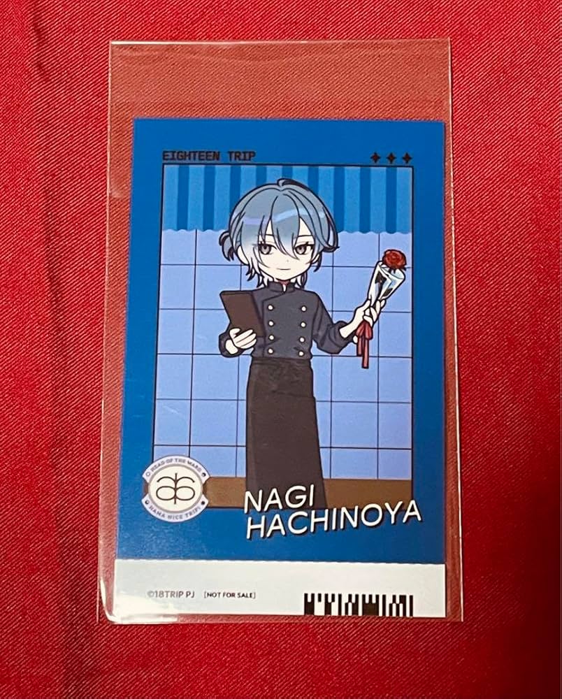 Amazon.co.jp: 18TRIP エイトリ アニカフェ 特典 蜂乃屋凪 フォト