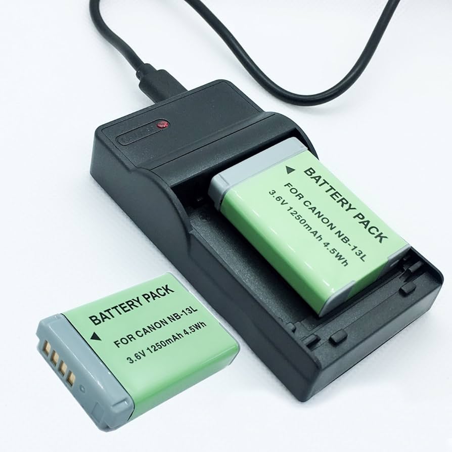 Amazon.com : Battery 2 Pack and USB Rapid Travel Batteries Charger