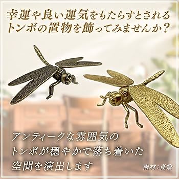 71sRMQQNmlL._AC_UF350,