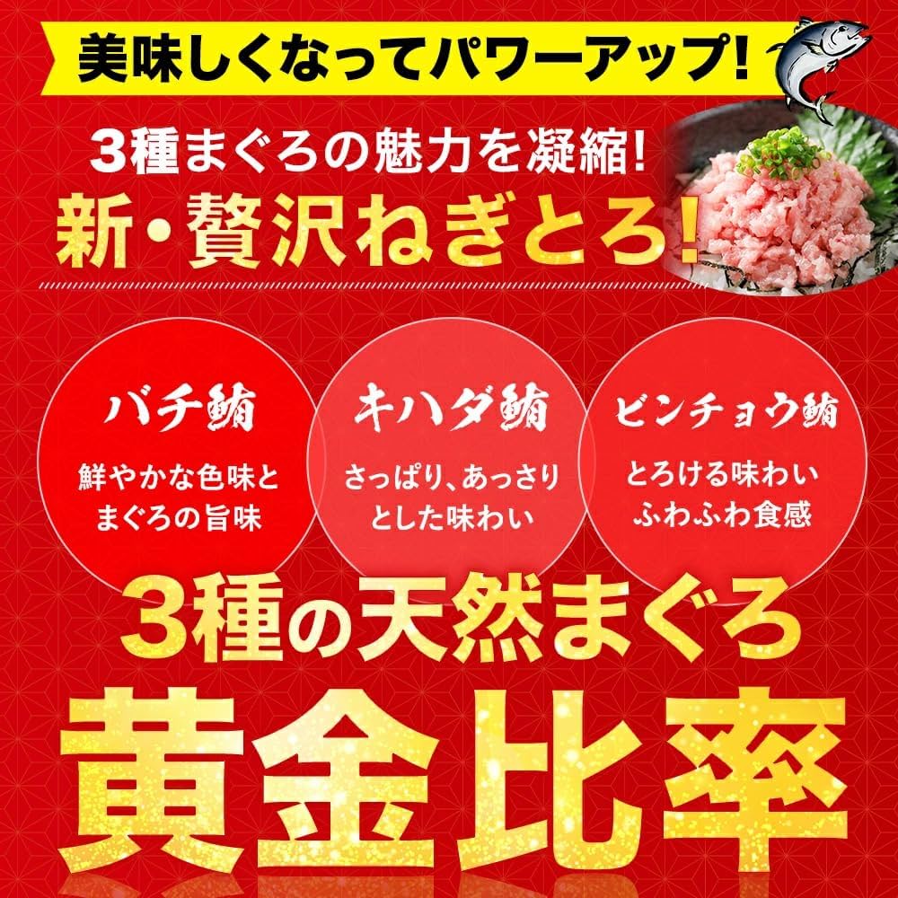 Amazon.co.jp: まぐろのヤマシタ ネギトロ マグロたたき 1kg (100g×10