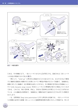口腔顔面痛の診断と治療ガイドブック 第3版 | 日本口腔顔面痛学会 |本