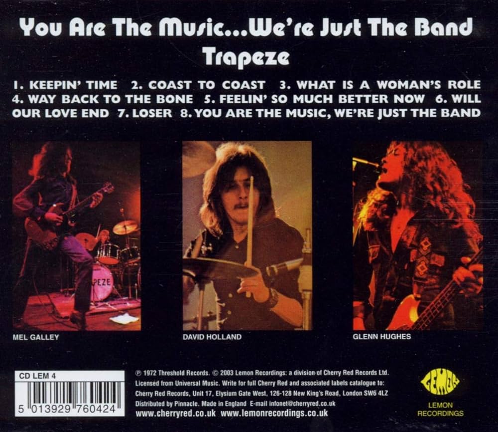 Amazon.co.jp: You Are the Music..We're Just the Band: ミュージック