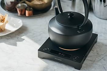 Amazon.com: BALMUDA MoonKettle | Electric Kettle with Temp Control